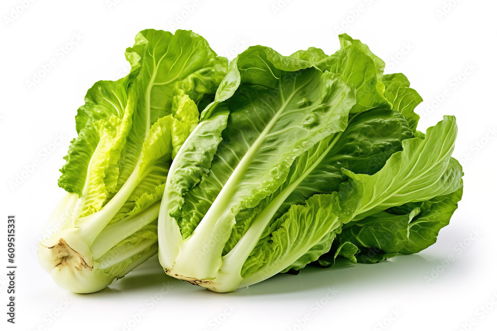 Escarole lettuce on white background generative ai Escarole lettuce on white background generative ai