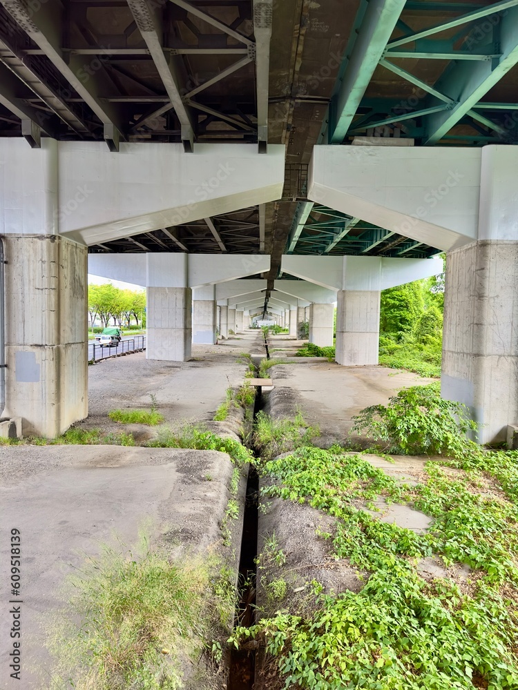 Obraz premium 高速道路