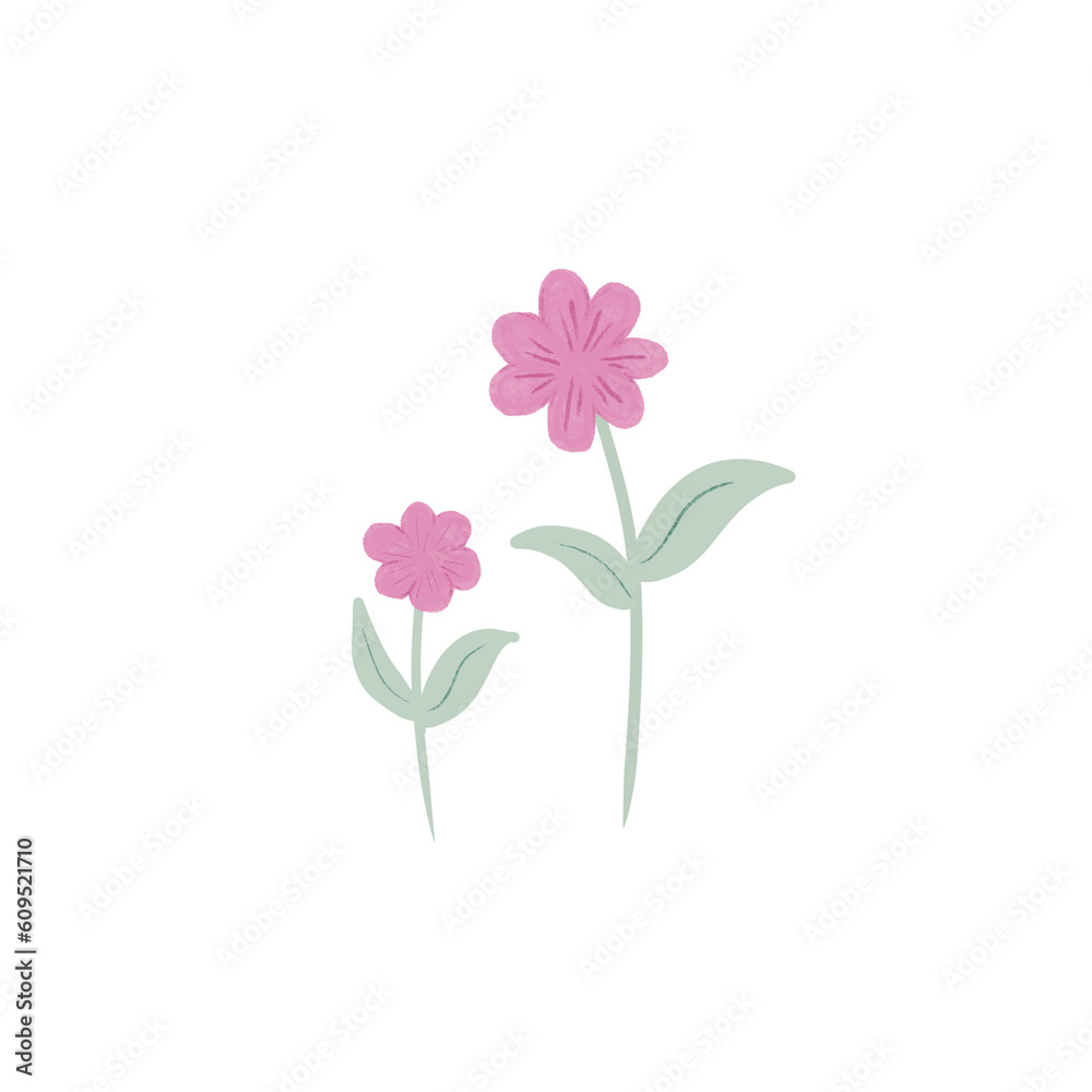 Flowers Flowers