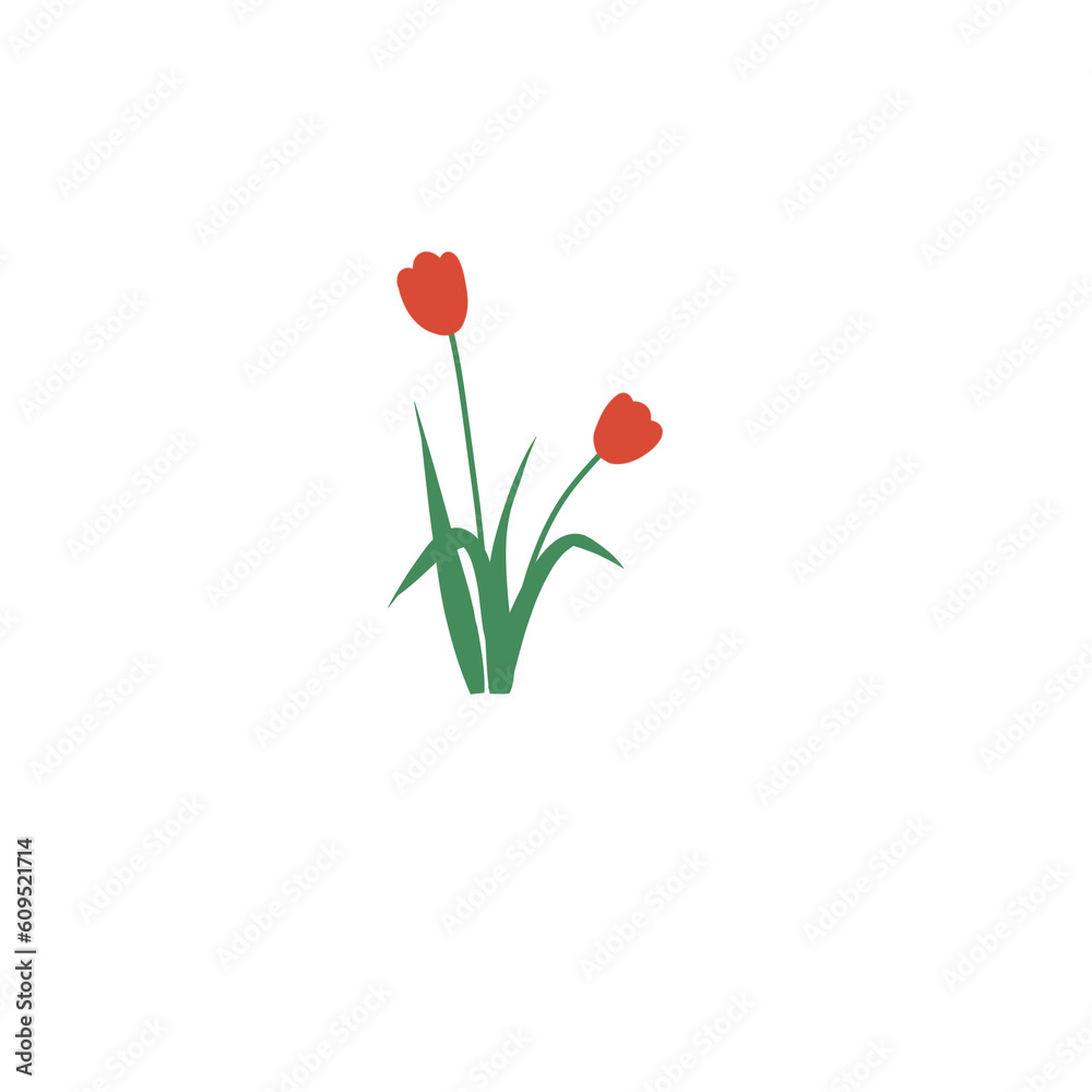 Obraz premium Flowers tulip