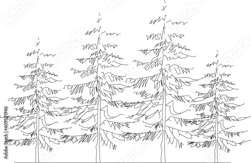 Vector illustration sketch of a forest full of lined trees of various sizes