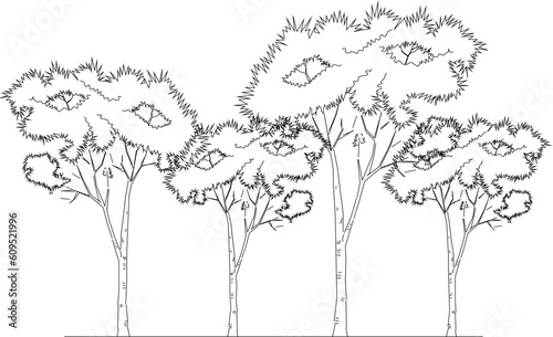 Wallpaper Mural Vector illustration sketch of a forest full of lined trees of various sizes Torontodigital.ca