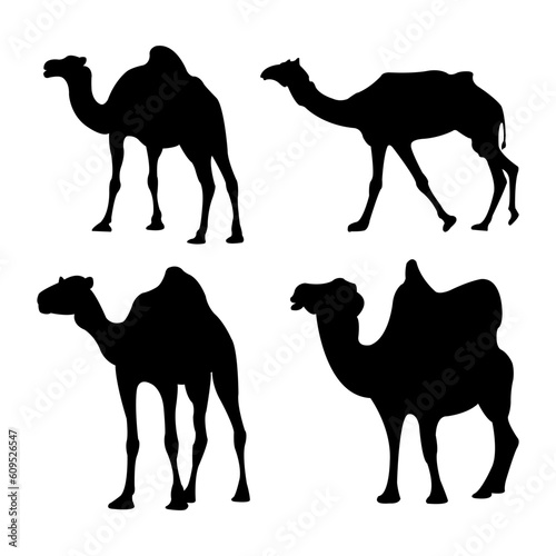 Set Camel Silhouettes decoration Vector Illustration for design decoration and illustration