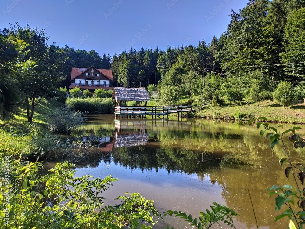 Pontoon on the lake at the Paradisul Verde Guesthouse, Bretea, Romania, Bistrita