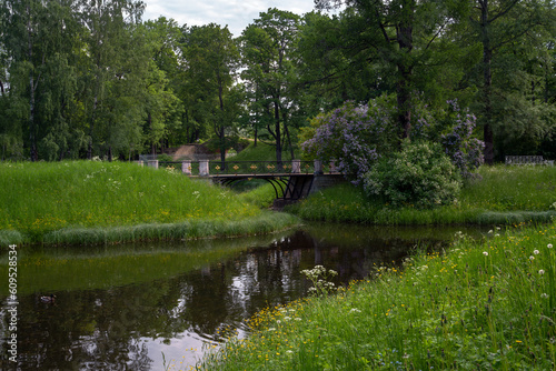 View of the bridge over the Upper Ponds in the bushes of blooming lilac in Catherine Park of Tsarskoye Selo on a sunny summer day, Pushkin, St. Petersburg, Russia