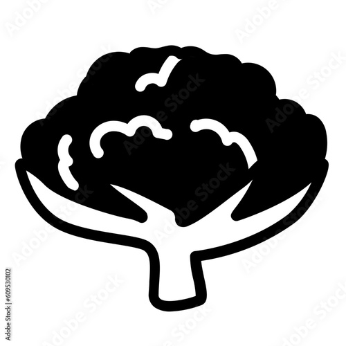 cauliflower 