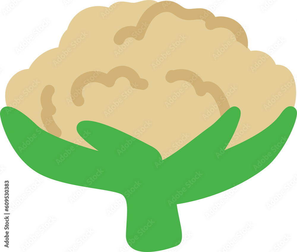 Obraz premium cauliflower