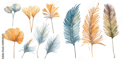 watercolor dried palm leaf clipart for graphic resources