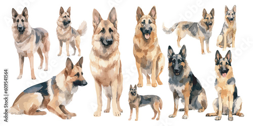 watercolor german shepherd clipart for graphic resources