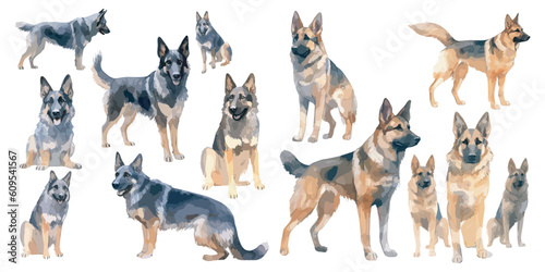 watercolor german shepherd clipart for graphic resources
