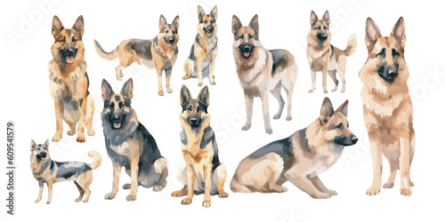 watercolor german shepherd clipart for graphic resources
