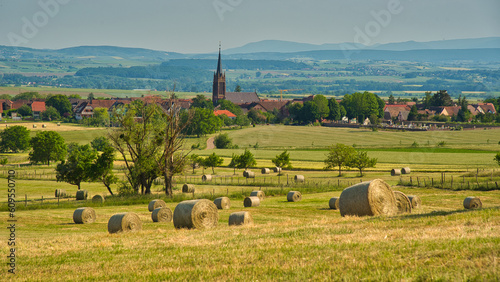 Tableau sur toile Landschaft am Bastberg bei Bouxwiller im Elsass