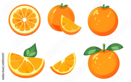 set vector illustration of ripe orange isolated on white background