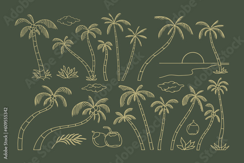 Tropical Summer Coconut Trees (ID: 609555342)