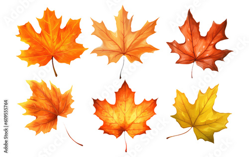 set vector illustration autumn leaf elements isolated on white background