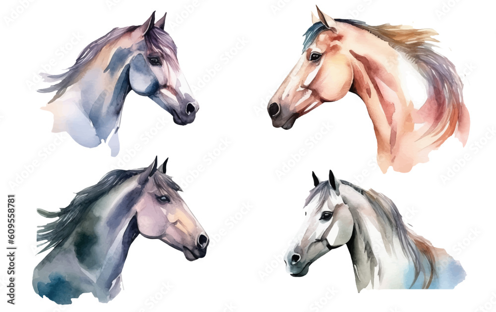 watercolor set vector illustration of horse isolsated on white background