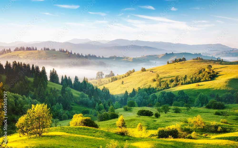 Splendid Summer Landscape Of A Rolling Countryside On A Sunny Day 