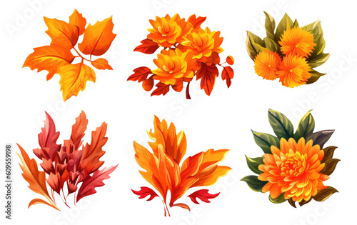 set vector illustration autumn bouquet elements isolated on white background