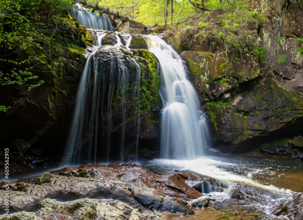 Fototapeta premium waterfall in the forest