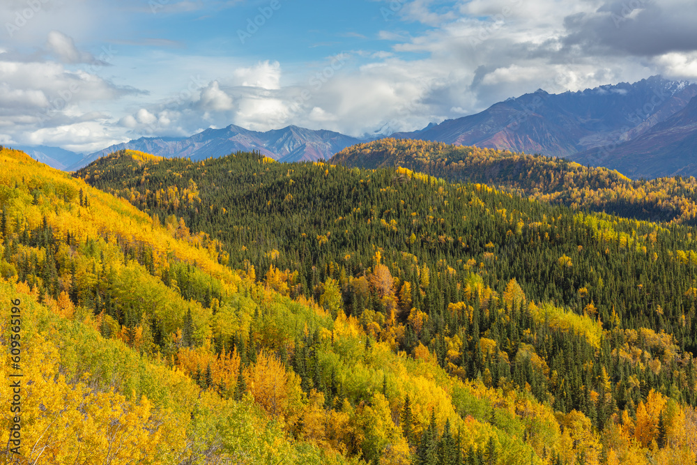 Mountain landscape in autumn colors, Alaska USA