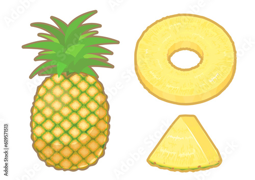 カットしたパイナップルのイラスト