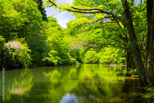 5月新緑の三河湖