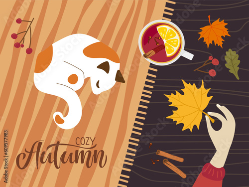 Cozy romantic concept with sleeping cat, hot drink, Autumn red leaves, berry, cinnamon. Cute Autumn flat Vector illustration in flat style for Fall mood poster, card, flyer template.