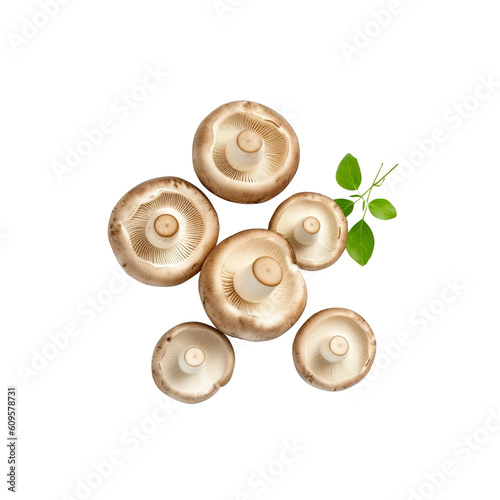 mushrooms isolated on white background generative ai, clipping path, png file