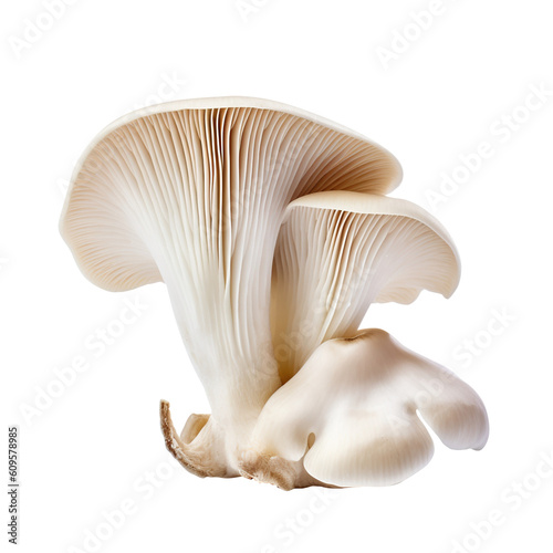 mushrooms isolated on white background generative ai, clipping path, png file