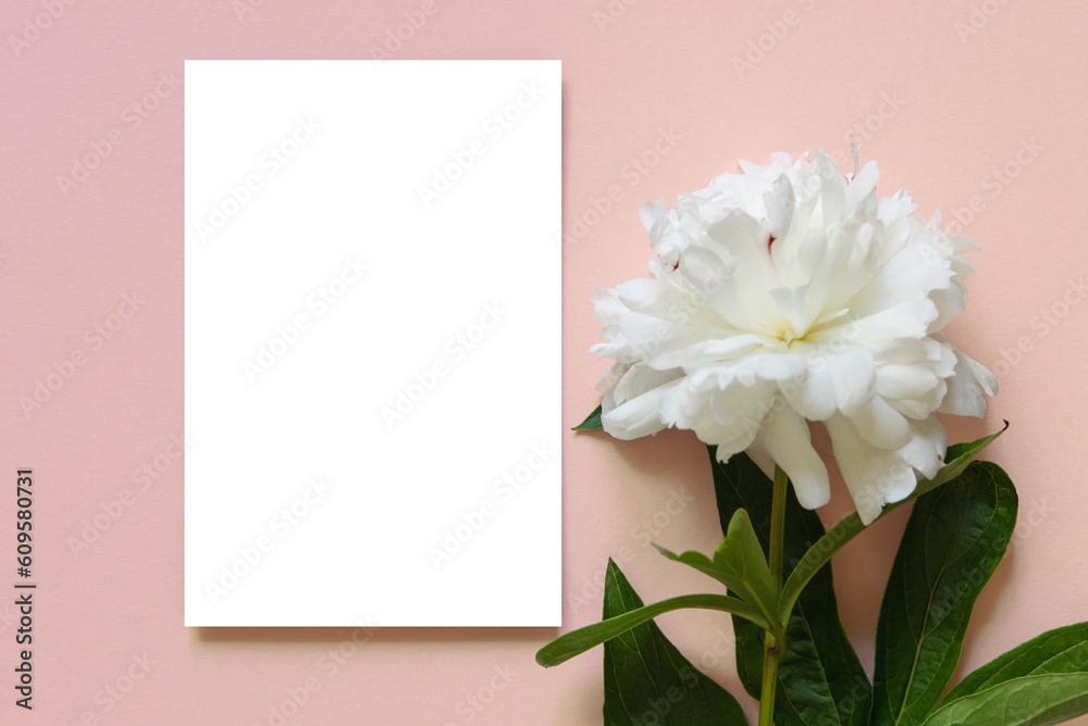 Blank greeting card, invitation mockup. Minimal floral frame with one white peony flower. Flat lay, top view. Happy mother's day, women's day or birthday, wedding composition.