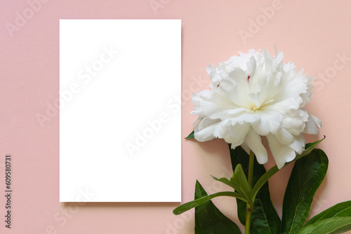 Blank greeting card, invitation mockup. Minimal floral frame with one white peony flower. Flat lay, top view. Happy mother's day, women's day or birthday, wedding composition.