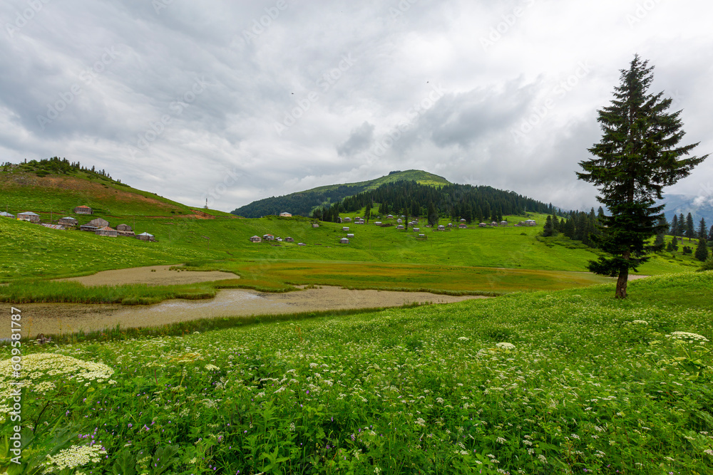 Fototapeta premium Located in the province of Giresun, Gölyanı Plateau has a lake offering an authentic view with its wooden houses.