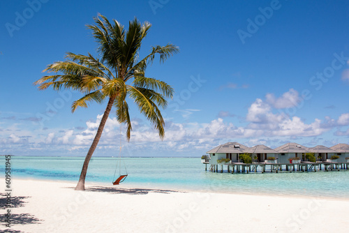 Magical view of the tropical beach. Sea, palm tree and romantic mood. © Vladislav