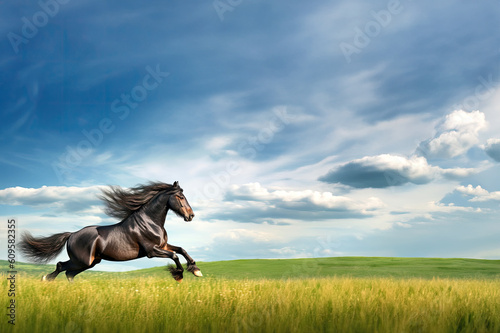 Horse background created with Generative AI technology