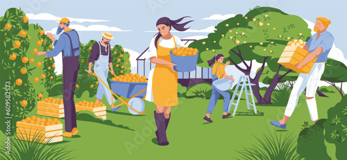 green landscape with people harvesting together. Happy farming and agriculture. Greenhouse and trees. Vector flat illustration