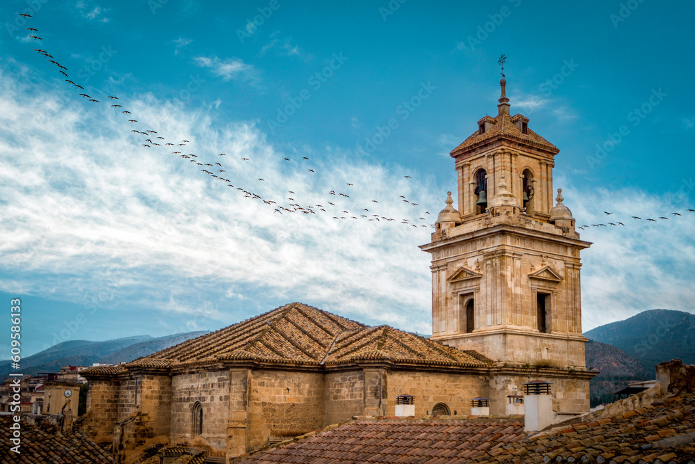 View of the rooftops of the old town of Caravaca, Murcia, Spain, with the parish church of El Salvador and its renaissance-style bell tower and a flock of birds in the sky