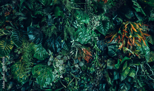 Close up group of background tropical green leaves texture and abstract background. Tropical leaf nature concept.