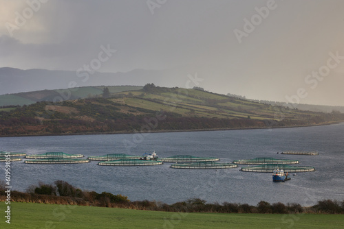 fish farm. Donegal Ireland, sustainability food production.