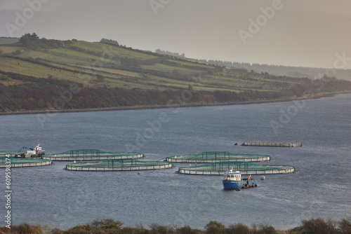 fish farm. Donegal Ireland, sustainability food production.