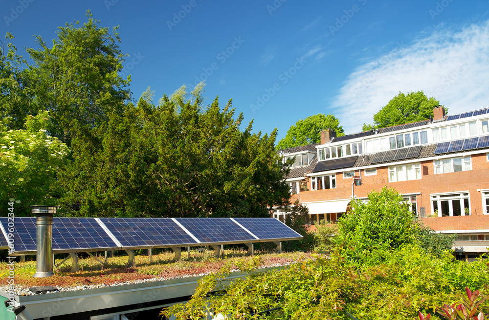 Green roof with solar panels. Sedum rooftop garden with photo voltaic. Sustainable foof garden with solar energy panels. Green roof with solar panels. Sedum rooftop garden with photo voltaic. Sustainable foof garden with solar energy panels.