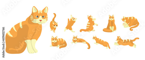 Cat Pose Set Illustrations Collection. Cat Illustrations.