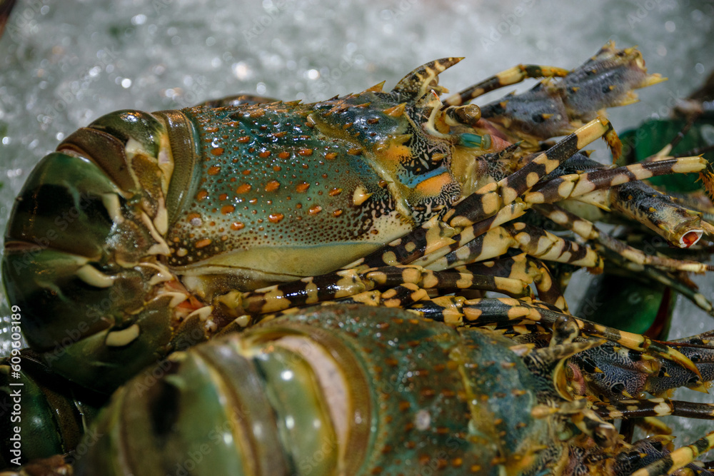 Lobster from traditional food market and bazar in Thailand Lobster from traditional food market and bazar in Thailand