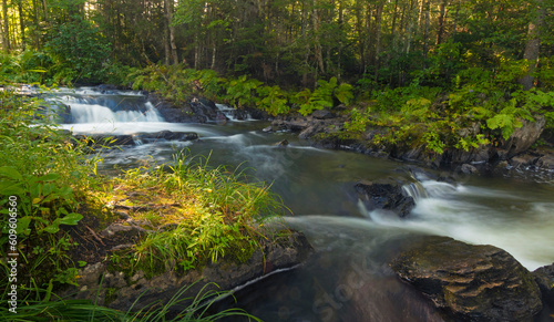 Sun lighting a spot next to a scenic Maine River