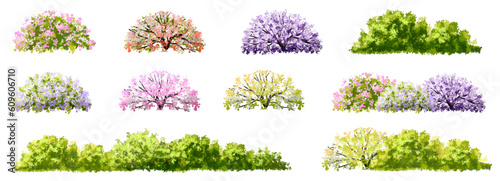 Vector of flower grass or blooming shrub isolated on white background,tree elevation for landscape concept,environment panorama scene,eco design,meadow for spring