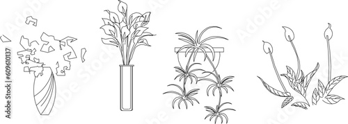 Sketch vector illustration of ornamental plants in pots to decorate the room