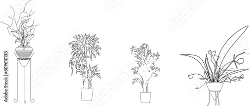 Sketch vector illustration of ornamental plants in pots to decorate the room 