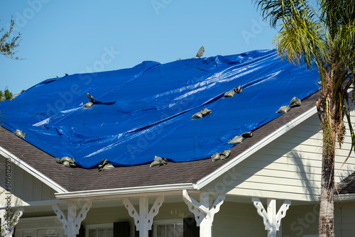 Fotografie Damaged in hurricane Ian house roof covered with blue protective tarp against ra