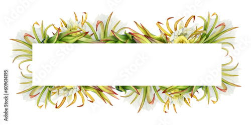 Cactus flowers summer horizontal banner frame template with copyspace. Hand drawn watercolor illustration. Realistic botanical drawing for invitation cards, tropical party designs