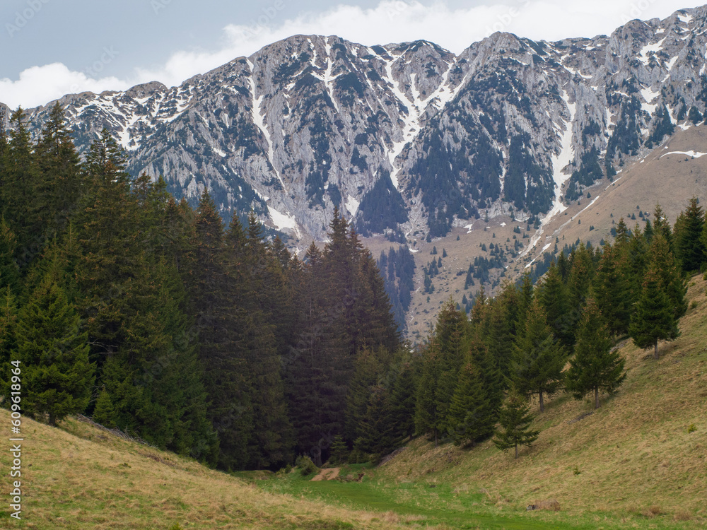 Spring Mountain Range Piatra Craiului - Carpathians, Romania 