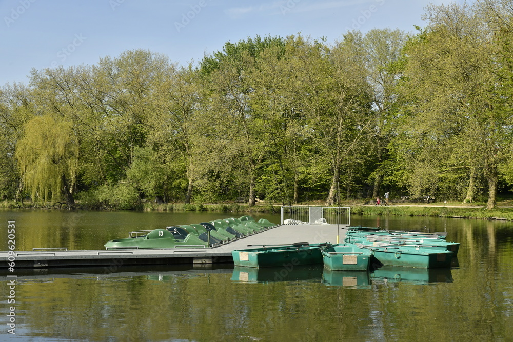 Ponton flottant et barques pour la promenade sur l'eau à l'étang principal du domaine provincial de Kessel-Lo à Louvain Ponton flottant et barques pour la promenade sur l'eau à l'étang principal du domaine provincial de Kessel-Lo à Louvain